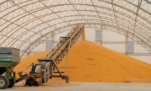 Фермери з прифронтових регіонів отримали 615 модульних зерносховищ від Продовольчої та сільськогосподарської організації ООН (ФАО)